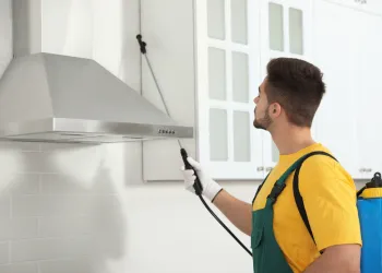 Elica Davlumbaz Bakımı: Tasarım Harikası Mutfağınızın Performansını Koruyun