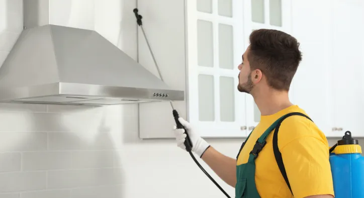 Elica Davlumbaz Bakımı: Tasarım Harikası Mutfağınızın Performansını Koruyun